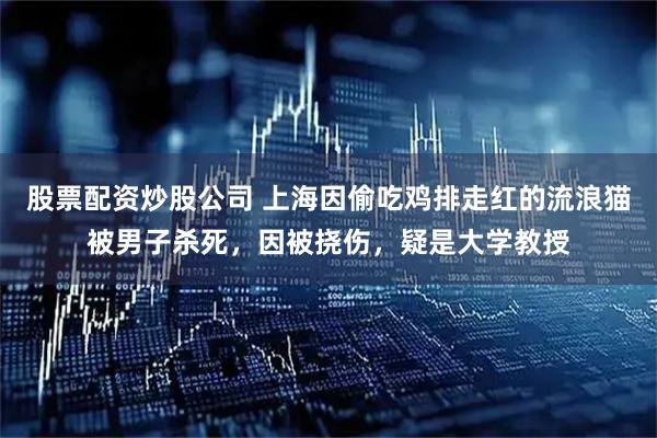 股票配资炒股公司 上海因偷吃鸡排走红的流浪猫被男子杀死，因被挠伤，疑是大学教授